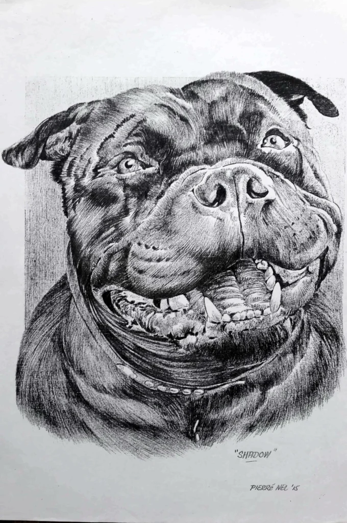 A face full of character — original artwork by Pierre Nel