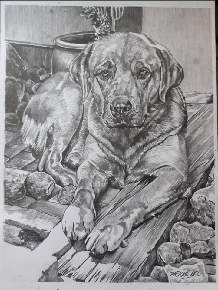 A beloved dog for Nadia by Pierre Nel