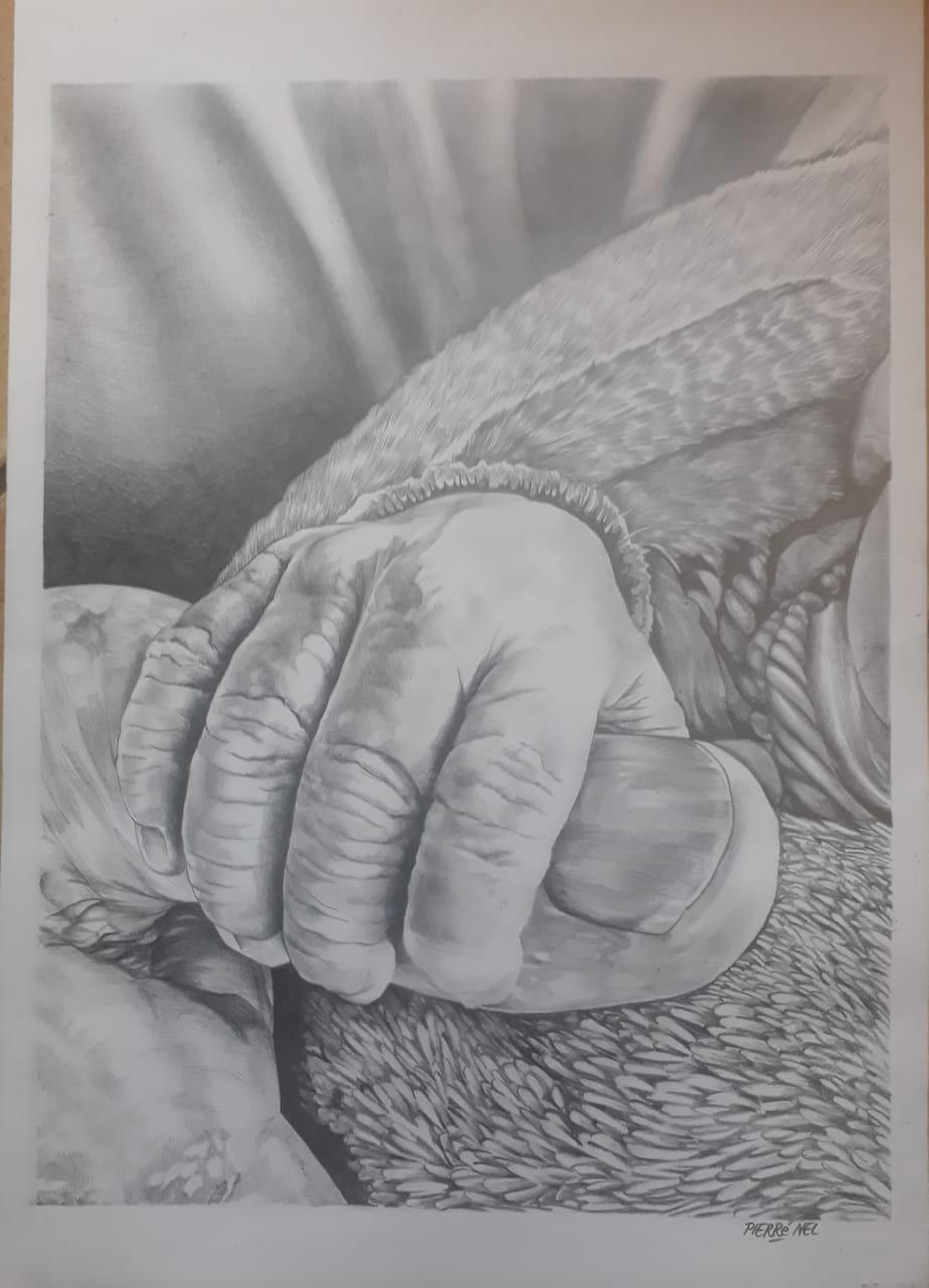 A baby’s hand by Pierre Nel