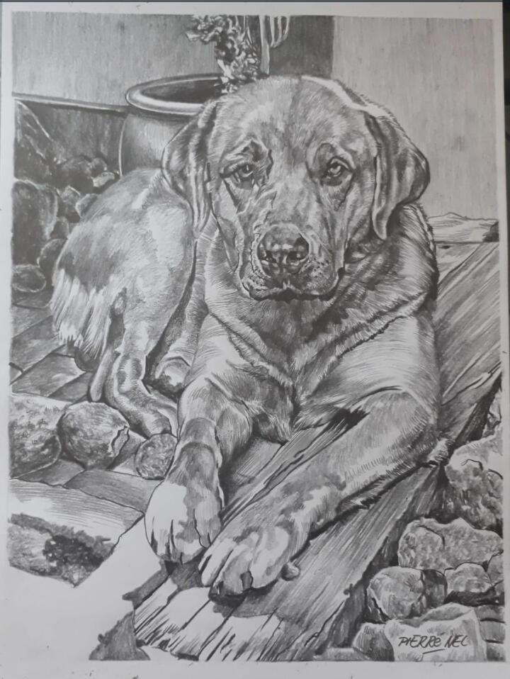 Animal portrait for Nadia by Pierre Nel