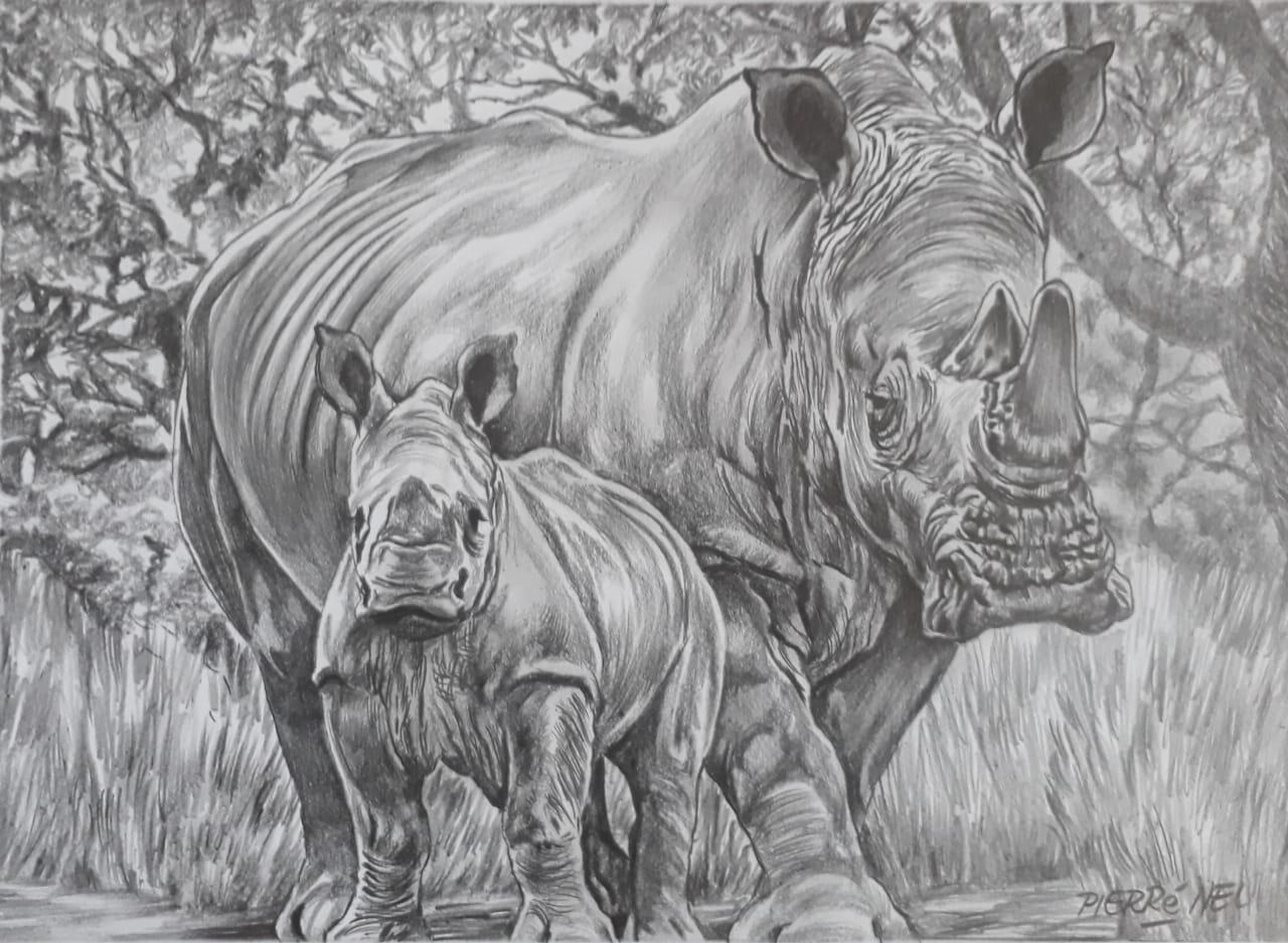 Rhinos by Pierre Nel