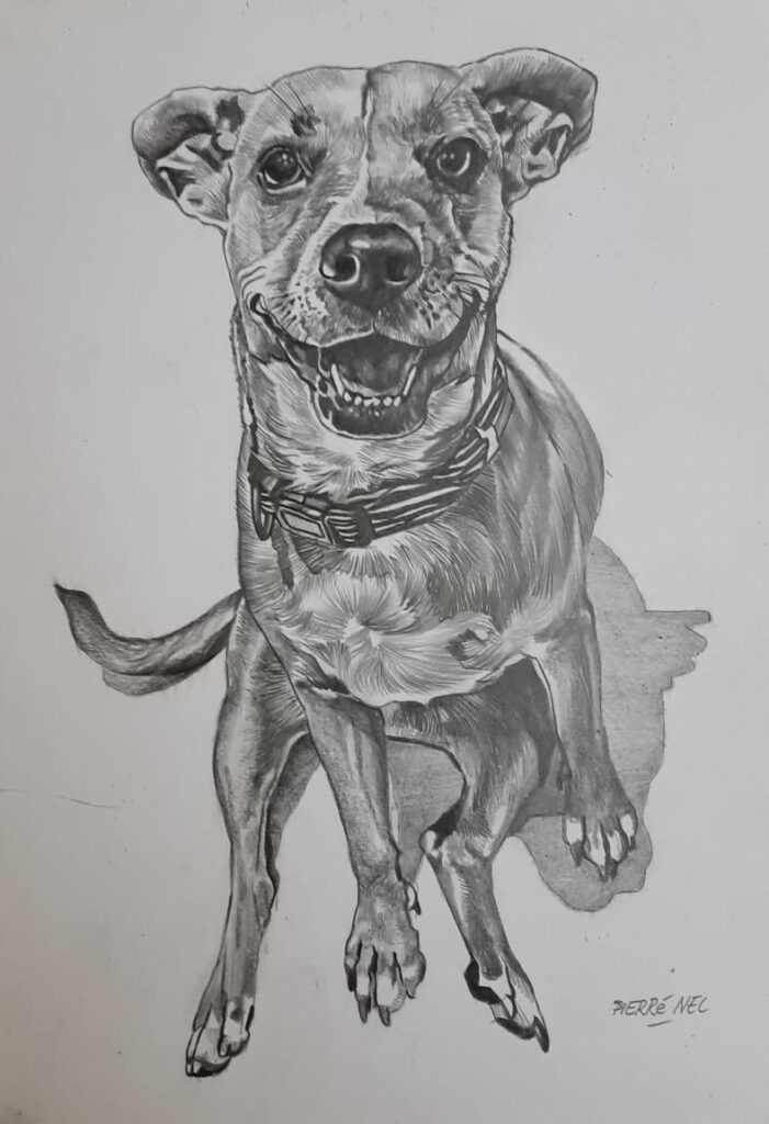 A pet portrait for Zoë by Pierre Nel