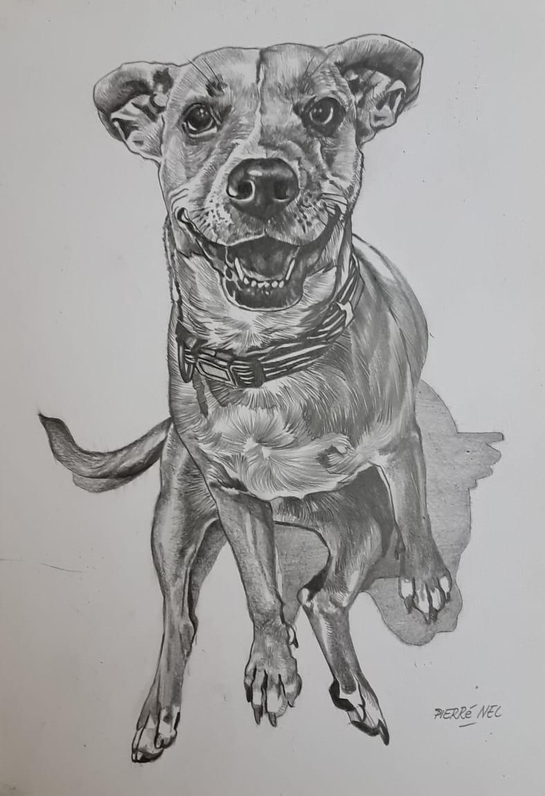 A pet portrait for Zoë by Pierre Nel