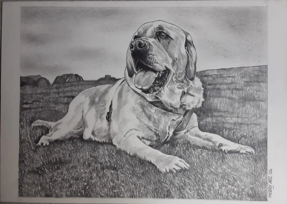 A favourite companion — original artwork by Pierre Nel
