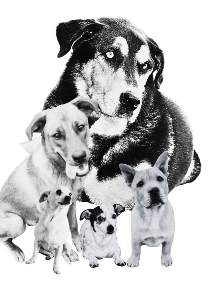 Reference for Amelia and her companions